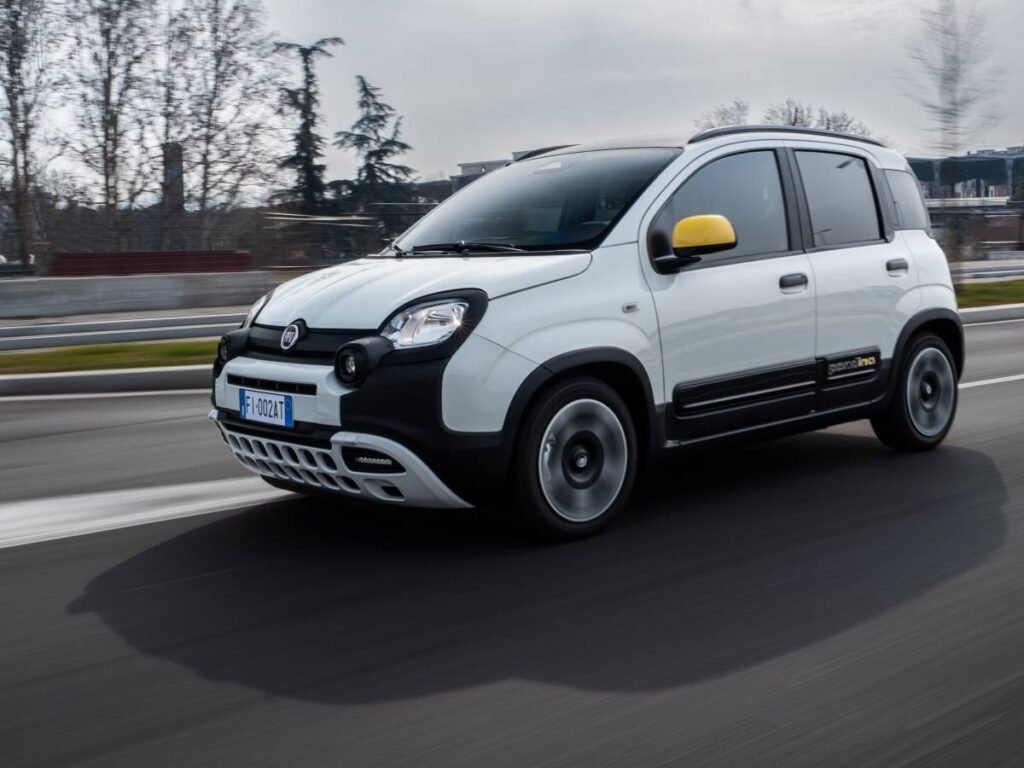 1733234628-fiatpandina.jpg