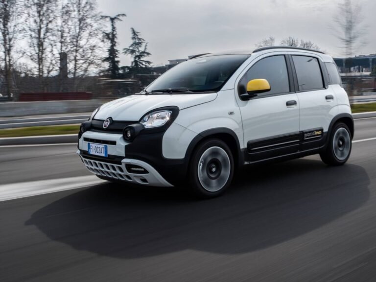 1733234628-fiatpandina.jpg