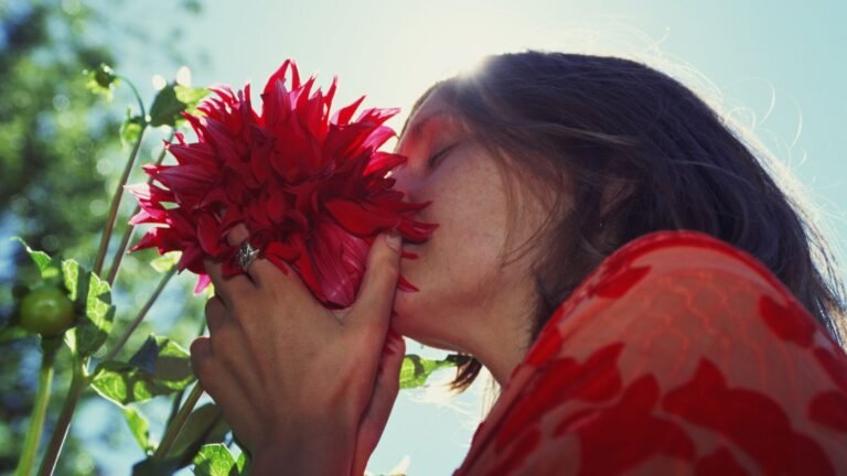 69f20e833d6a2251299843.jpg