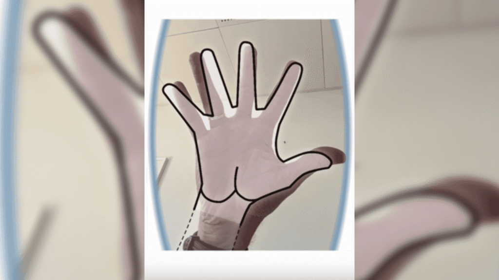 6a16dfec99609603749765.png