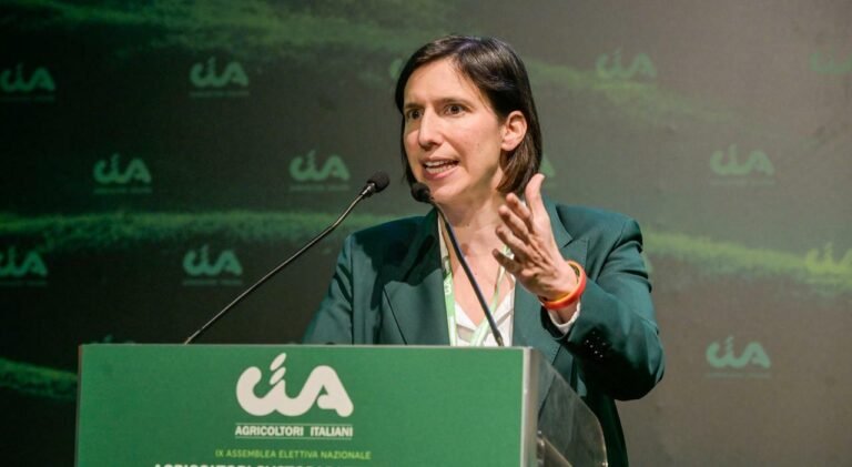 9518015_OBJ67172772_113708.jpg