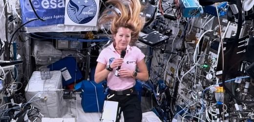 9e8a6536-8736-43b5-afb4-6b3849ca1c37_w520_r2.08_fpx61.72_fpy49.98.jpg