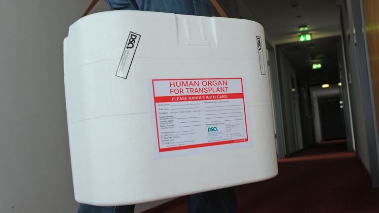 ARCHIV-ILLUSTRATION-Eine-Organtransportbox-wird-am-29-05-2012-in-den-Raeumen-der-Deutschen-Stiftung.jpeg