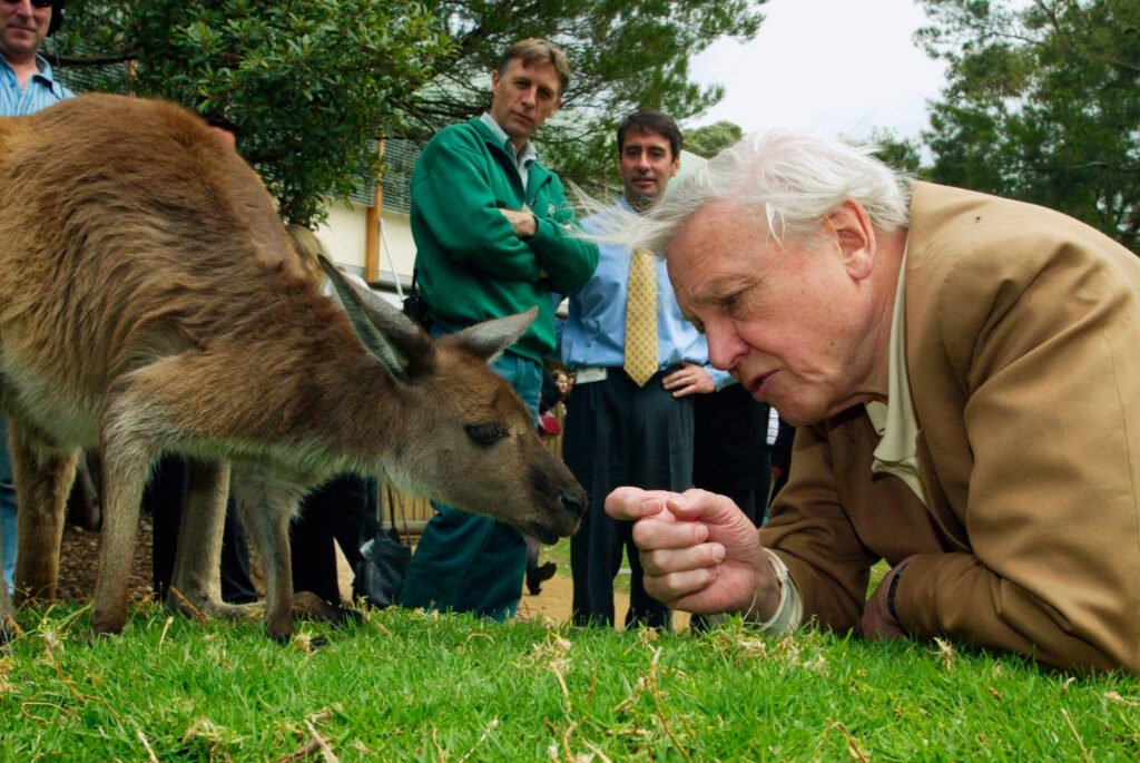 Attenborough_LP_24394237-1024x685.jpg