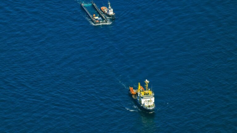 Der-Buckelwal-wird-in-seiner-Barge-vom-Schlepper-Fortuna-B-entlang-der-daenischen-Kueste-in-Hoehe-un.jpeg
