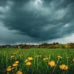 Gewittrige-Stimmung-im-Landkreis-Pfaffenhofen-in-Bayern-zumindest-kuendigt-sich-hier-ein-heftiger-Re.jpeg