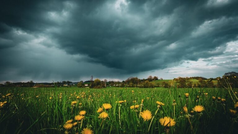 Gewittrige-Stimmung-im-Landkreis-Pfaffenhofen-in-Bayern-zumindest-kuendigt-sich-hier-ein-heftiger-Re.jpeg