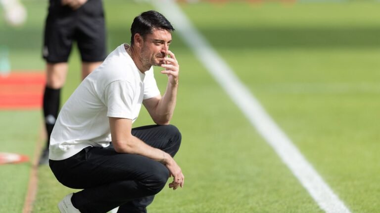 Trainer-Albert-Riera-Eintracht-Frankfurt-Bundesligaspiel-zwischen-Eintracht-Frankfurt-und-dem-Hambur.jpeg