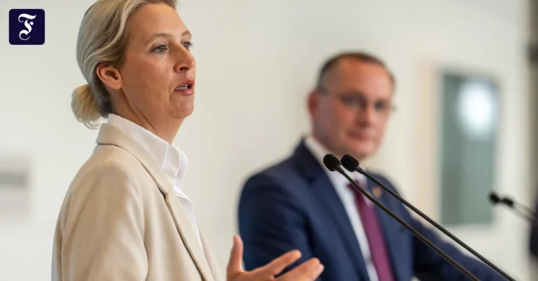 alice-weidel-bundesvorsitzende.webp.webp