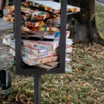 auch-in-regensburg-in-vielen.webp.webp