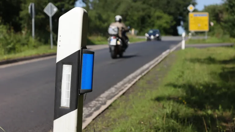 blauer-reflektor-am-leitpfosten-er-weist-autofahrer-auf-wildwechsel-hin-und-soll-gleichzeitig-das-wi.webp