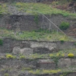 brachliegende-weinberge-in.webp.webp