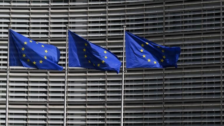 eu-flaggen-164.jpg