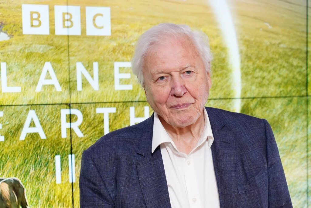 ipa40941311_100_anni_david_attenborough.jpeg