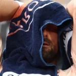 nur-noch-verstecken-novak.webp.webp
