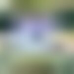 171026719-c21ff325-f1cb-424d-8f7e-8353f8aeea33.jpg