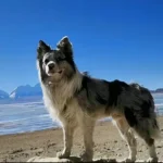 6344ed8dbbf165e458f6d430a2857baa7eeaebb1.webp