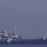 6a2ab315a2351255201931.png