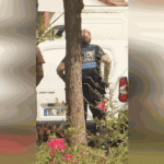 6a436d6fa0497859413704.png