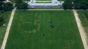 angehoerige-des-militaers-und-der-strafverfolgungsbehoerden-stehen-auf-dem-rasen-der-national-mall-d.webp
