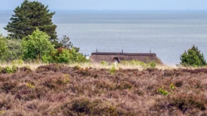 heidelandschaft-bei-kampen-auf-sylt-haeuser-bleiben-hier-teuer-aber-die-angebotspreise-lagen-zuletzt.webp