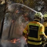 waldbrand-586.jpg