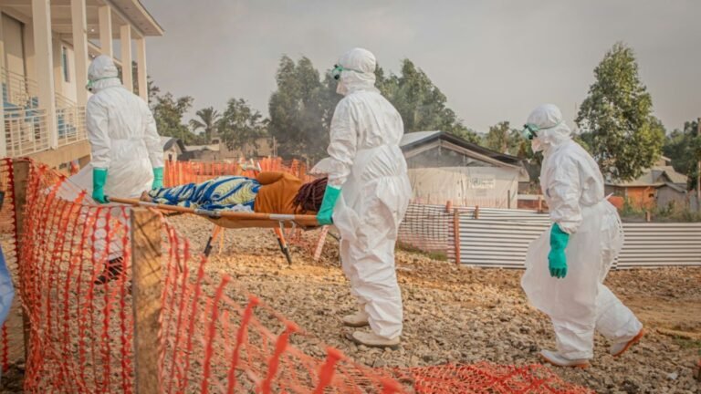 09-gesundheitsmitarbeiter-und-ebolapatient-auf-einer-trage-f0dc0175285def34.jpg