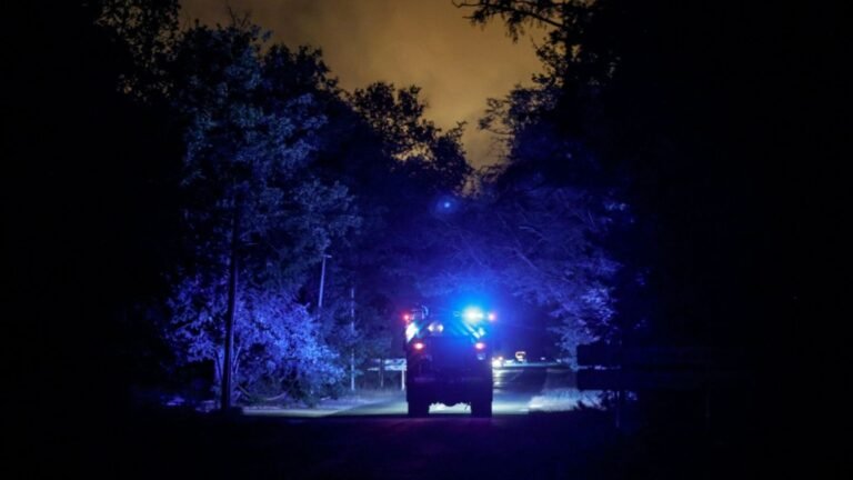 13-feuerwehrfahrzeuge-im-wald-von-fontainebleau-c12b5ab4869174fc.jpg