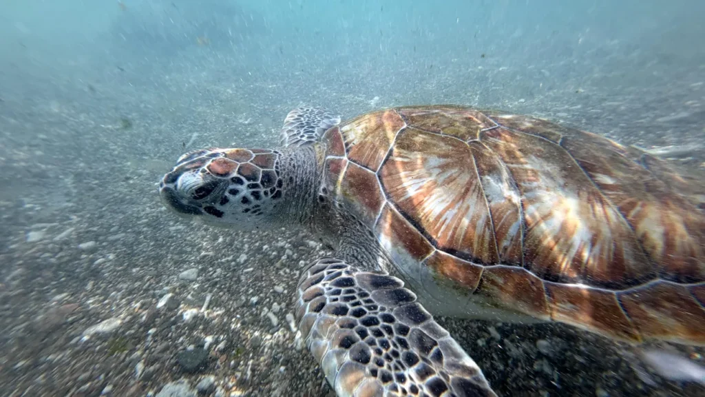 1783738326_wide__1300x731.webp