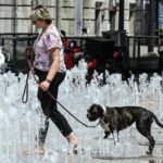 1784176988_caldo_donna_cane_fontana_afp.jpeg