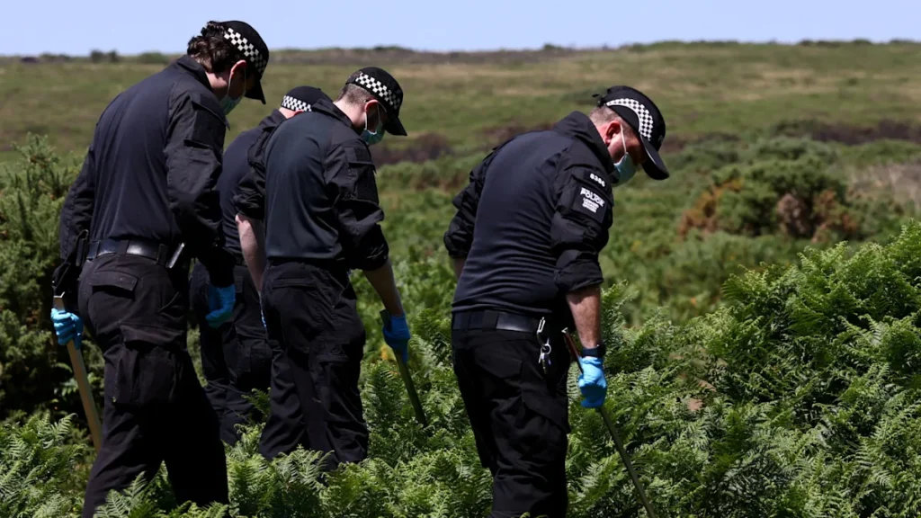 2026-07-11t152853z-953918451-rc2obmak48y4-rtrmadp-3-britain-crime-widdecombe-jpg.webp