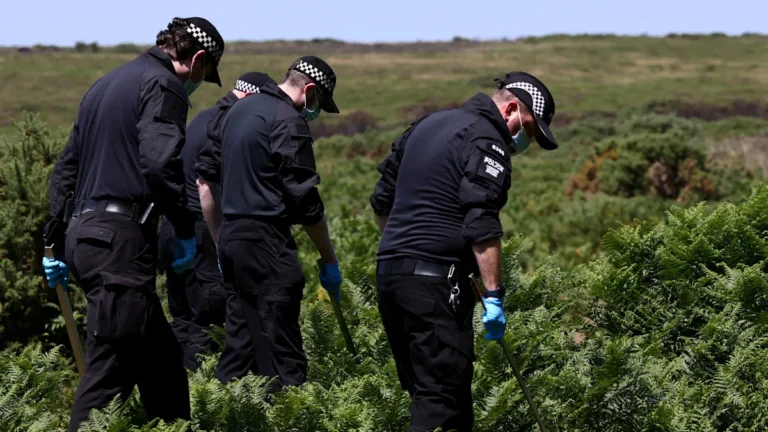 2026-07-11t152853z-953918451-rc2obmak48y4-rtrmadp-3-britain-crime-widdecombe-jpg.webp