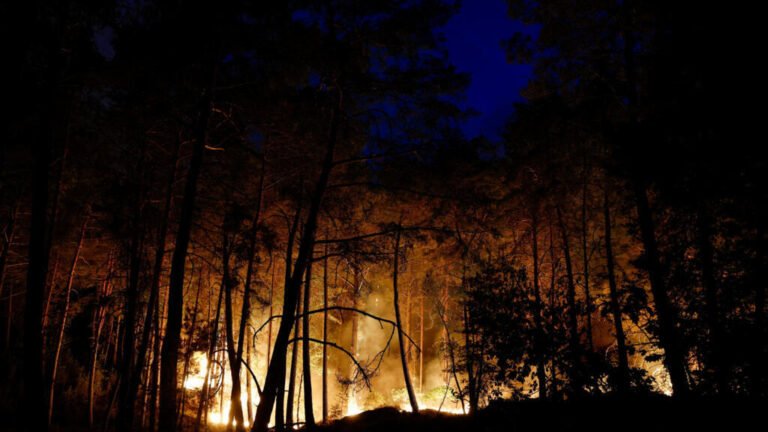 2026-07-12T210636Z-912344806-RC2KCMAI7KHH-RTRMADP-3-EUROPE-WEATHER-FRANCE-WILDFIRE.jpg