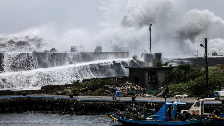 6a5251913a833239935139.jpg
