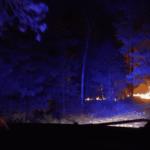 6a5536243e07a666581891.png
