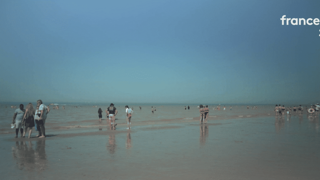 6a594a3210659089457981.png