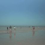 6a594a3210659089457981.png