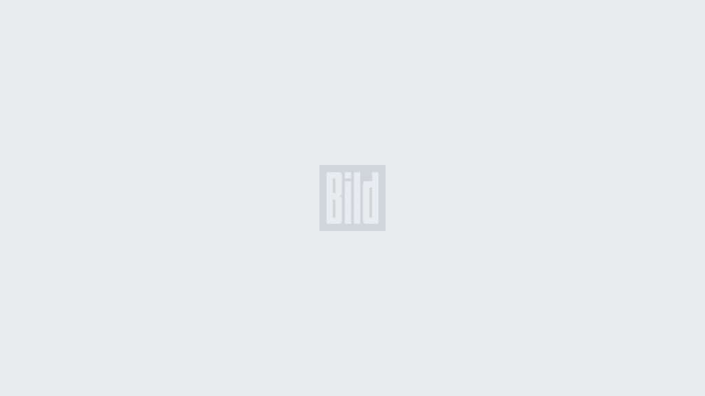 72bb06d59c6e7e531f2ec0ab0332c012fc3a892b.webp