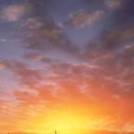 7a87c2e5ab0503bda6a83f2e9257be85.jpg