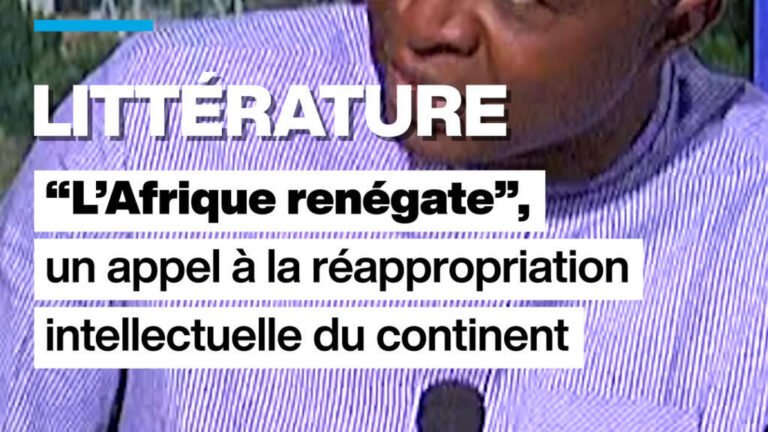 Couv-LITTERATURE-Afrique-renC3A9gate.jpg