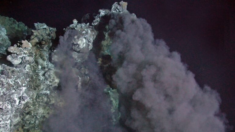 RECORD-DATE-NOT-STATED-Photograph-taken-during-the-2005-Galapagos-Expedition-Photograph-of-the-top-o.jpeg