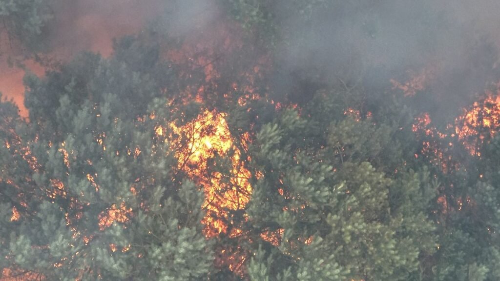 Rauch-steigt-bei-einem-Feuer-im-Mueritz-Nationalpark-auf-Die-Brandflaeche-wuchs-nach-Angaben-des-Spr.jpeg
