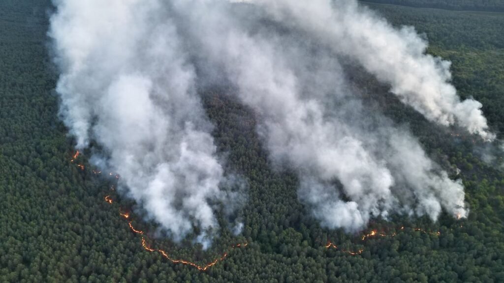 Rauchsaeulen-stehen-ueber-einer-brennenden-Waldflaeche-Der-Grossbrand-im-Mueritz-Nationalpark-breite.jpeg