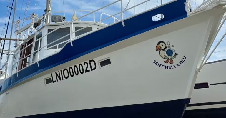 Scafo20Sentinella20Blu-U77555476684pWn-1440x752@IlSole24Ore-Web.jpeg