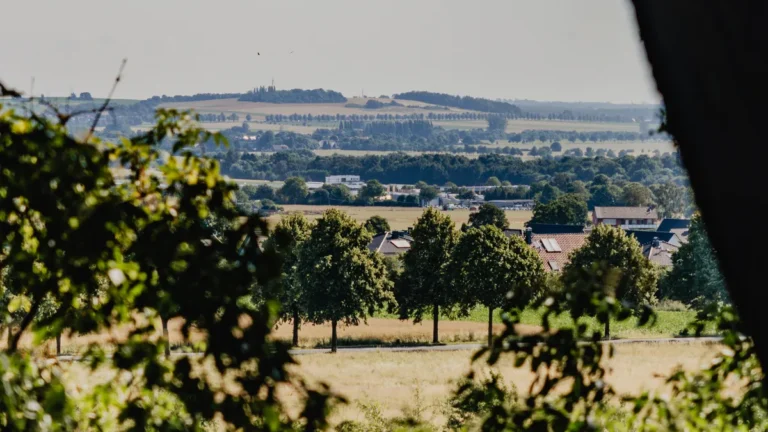 blick-auf-den-deister-die-wanderwege-eignen-sich-sowohl-fuer-tagesausfluege-als-auch-fuer-spaziergae.webp