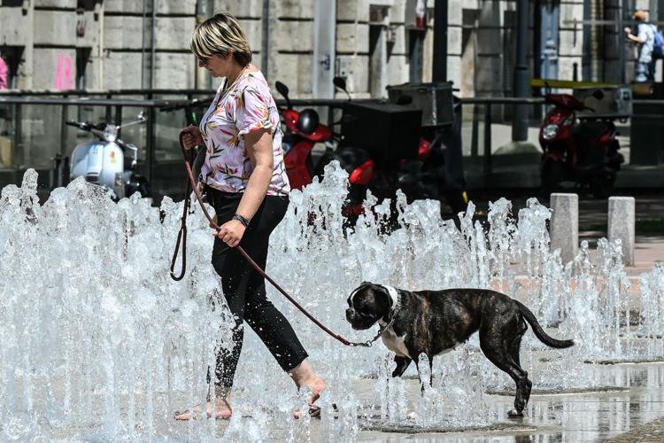 caldo_donna_cane_fontana_afp.jpeg