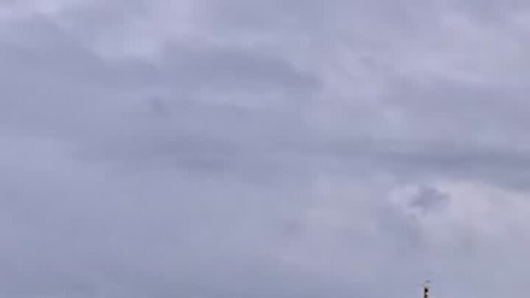 d90df80a490f868cfef12397ac94e80f.jpg
