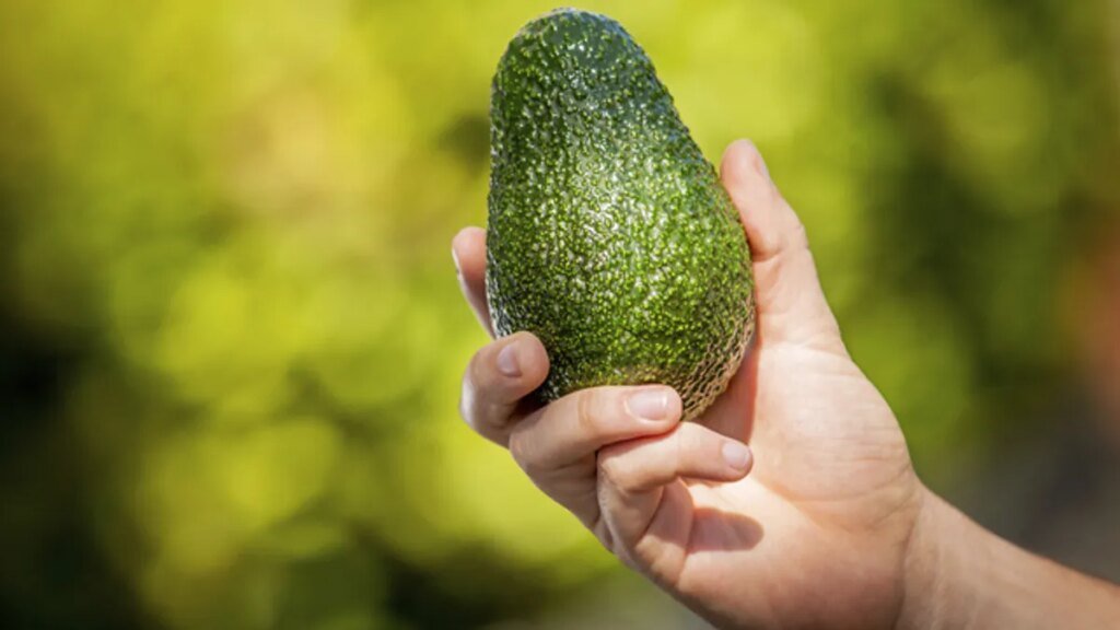 durch-leichtes-druecken-erkennen-sie-ob-eine-avocado-reif-ist.jpg
