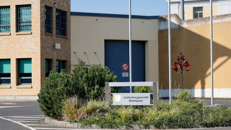 f1fdfb564c00f46fb9bb77731ff6dcf9a7eb697.webp