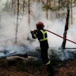 fontainebleau-afpp.jpg